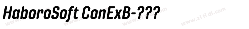 HaboroSoft ConExB字体转换 HaboroSoft ConExB字体转换